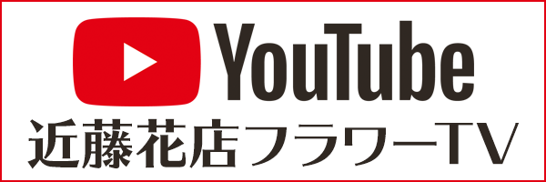 YouTubeチャンネル始めました